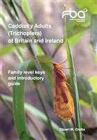 Caddisfly Adults (Trichoptera) of Britain and Ireland: Family level keys and introductory guide