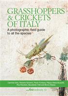 Grasshoppers and crickets of Italy: A photographic field guide to all the species