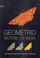 Geometrid Moths of India