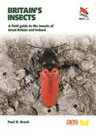 Britain's Insects: A field guide to the insects of Great Britain and Ireland