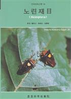 Economic Insects of Korea 18: Hemiptera