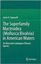 The Superfamily Mactroidea (Mollusca: Bivalvia) in American Waters: An Illustrated Catalogue of Recent Species