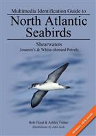 Multimedia Identification Guide to North Atlantic Seabirds: Shearwaters: Jouanin's & White-Chinned Petrels