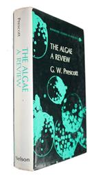 Algae: A Review