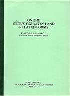 On the Genus Tornatina and Related Forms