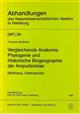 Vergleichende Anatomie, Phylogenie und historische Biogeographie der Ampullariidae (Mollusca, Gastropoda)