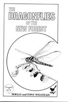 The Dragonflies of the New Forest