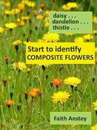 Start to Identify Composite Flowers: Daisy, Dandelion, Thistle