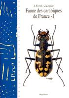 Faune des Carabiques de France 1: Cicindelidae - Omophronidae