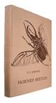 Horned Beetles:  A Study of the Fantastic in Nature