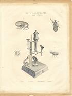 Early Nineteenth Century Engraving entitled Microscope and Objects