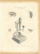 Early Nineteenth Century Engraving entitled Microscope and Objects