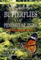 Butterflies of Peninsular India