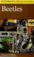 A Field Guide to the Beetles of North America