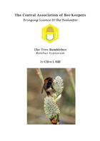 The Tree Bumblebee Bombus hypnorum
