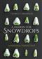 A Passion for Snowdrops: a personal perspective