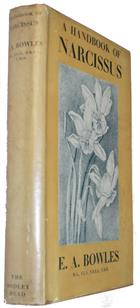 A Handbook of Narcissus