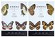 Butterfly Fauna of Taiwan. Vol. 5: Nymphalidae (Text & Plates)
