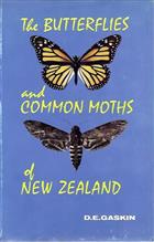 The Butterflies and Common Moths of New Zealand
