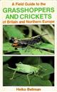 A Field Guide to the Grasshoppers and Crickets of Britain and Northern Europe