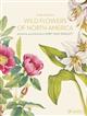 Wild Flowers of North America: Botanical Illustrations by Mary Vaux Walcott