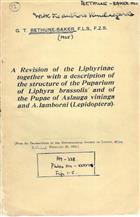 A Revision of the Liphyrinae together with a description of the structure of the puparium of Liphyra brassolisand of the pupae of Aslauga vininga and A. lamborni (Lepidoptera)