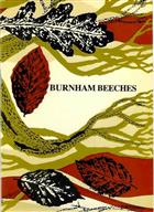 Burnham Beeches : and the manor of Allerds-in-Burnham