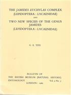 The Jamides euchylas complex (Lepidoptera: Lycaenidae) and Two new species of the genus Jamides (Lepidoptera: Lycaenidae)