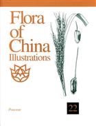 Flora of China Illustrations. Vol. 22: Poaceae