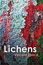 Lichens: Toward a Minimal Resistance
