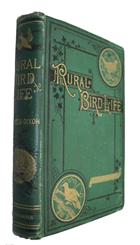 Rural Bird Life being Essays on Ornithology with Instructions for Preserving Objects related to that Science