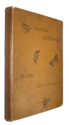 Beetles Butterflies Moths and other Insects: A Brief Introduction to their Collection and Preservation