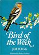 Bird of the Week