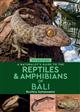 A Naturalist's Guide to the Reptiles & Amphibians of Bali