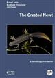 The Crested Newt: a dwindling pond-dweller