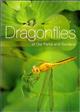 Dragonflies of our Parks and Gardens