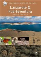 Crossbill Guide: Lanzarote and Fuerteventura Canary Islands - Spain