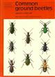 Common Ground Beetles (Naturalists' Handbooks 8)