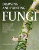 Drawing and Painting Fungi: an artists guide to finding and illustrating mushrooms and lichens