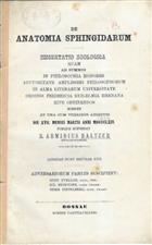 De Anatomia Sphingidarum: Dissertatio Zoologica (Dissert. Resp. G. Fuelles, J. Berendes, H. Finzelberg)