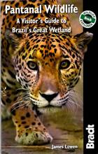 Pantanal Wildlife: A Visitor's Guide to Brazil's Great Wetland