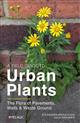 A Field Guide to Urban Plants: The Flora of Pavements, Walls and Waste Ground