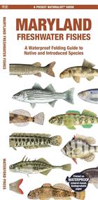 Maryland Freshwater Fishes: A Waterproof Folding Guide to Native and Introduced Species
