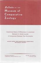 Anatomical Basis of Differences in Locomotor Behavior in Anolis Lizards: A Comparison Between Two Ecomorphs