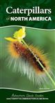 Caterpillars of North America: Easily Identify 90 Common Butterflies and Moths