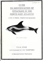 Guide to Identification of Cetaceans in the North East Atlantic: A key to whales, dolphins and porpoises