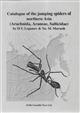 Catalogue of the jumping spiders of northern Asia (Arachnida, Araneae, Salticidae)
