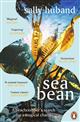 Sea Bean: A beachcomber's search for a magical charm