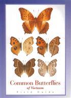 Common Butterflies of Vietnam. Field Guide