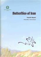 Butterflies of Iran